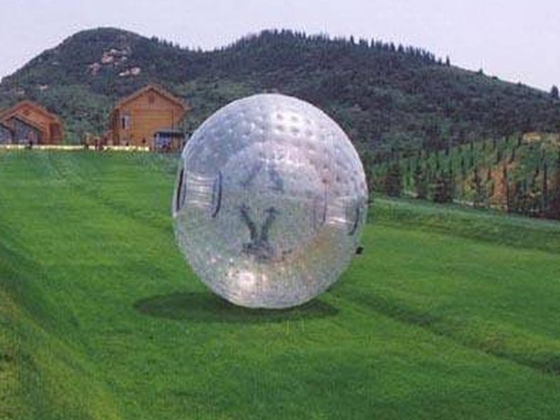 E106056 Zorb Ball - Image 1